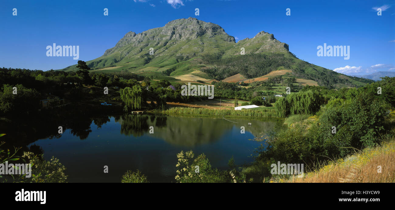Süden, Afrika, KapProvinz, Stellenbosch, Berg Simons, Weinberge, Teich