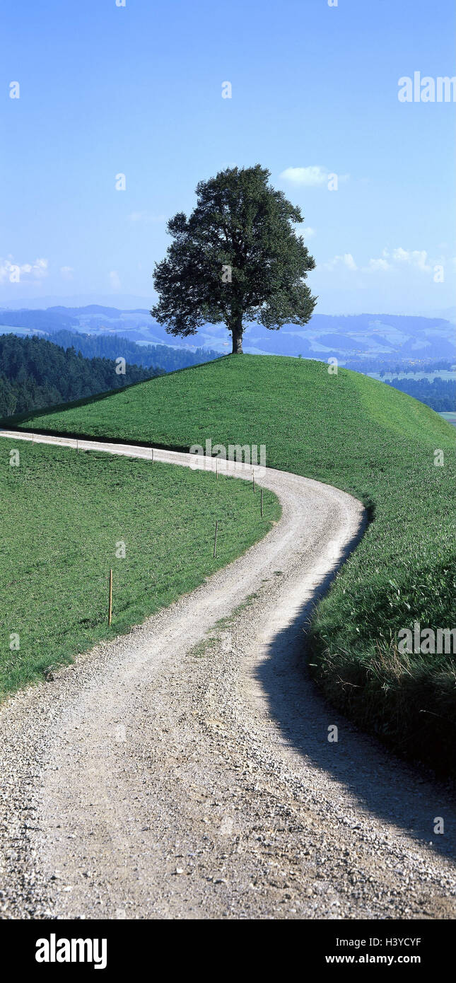 Schweiz, Kanton Bern, Emmental, Landschaft, Hügel, Baum, Weg, Natur, Ruhe, Einsamkeit, Stille, Abgeschiedenheit, Aussichtsturm, Kies Weg Stockfoto