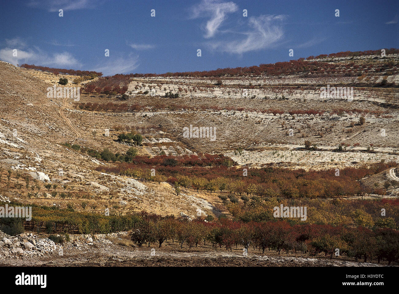 Libanon, Libanongebirge, künstliche Landschaft, im Nahen Osten, vorne Osten, Nahost, Landschaft, Vegetation, Natur Stockfoto