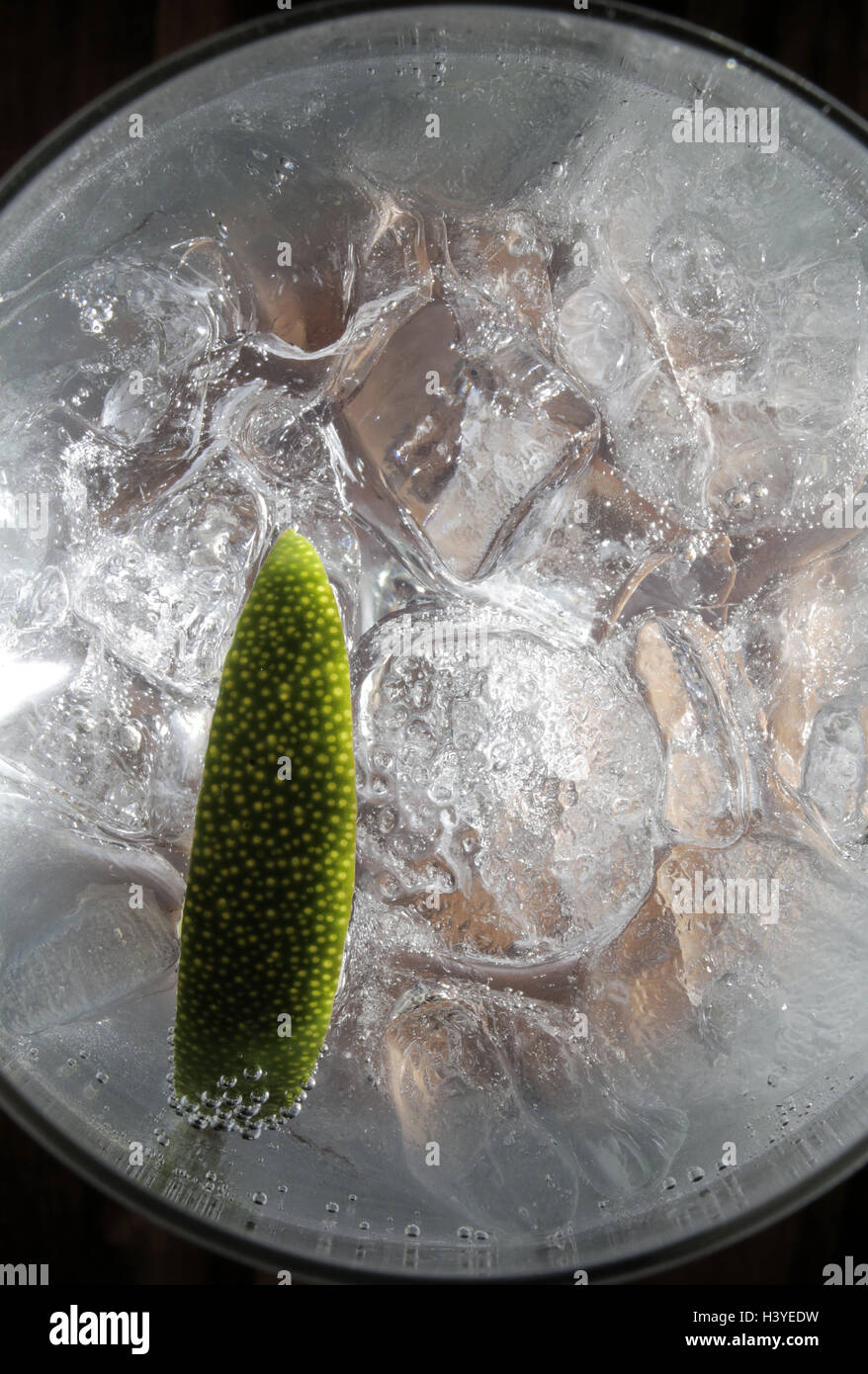 Ein Gin Tonic in einer Bar mit einer Scheibe Limette Stockfoto