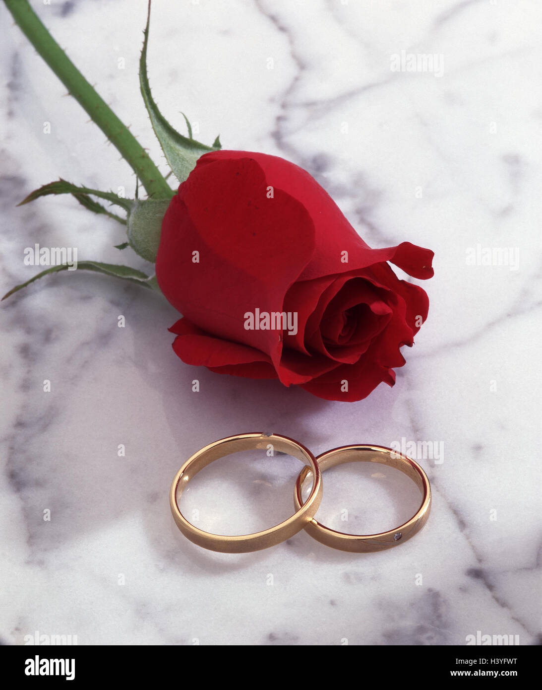 Rose Trauringe Symbol Vor Liebe Ringe Gold Goldene Ringe Zwei Vor Hochzeit Heiraten Trauung Loyalitat Leben Versprechen Gemeinsam Mit Einander Schmuck Produktfotografie Still Life Stockfotografie Alamy