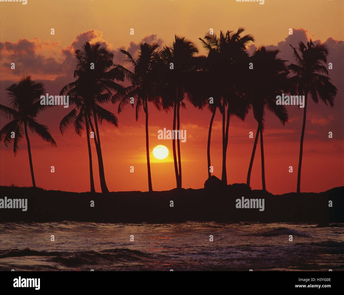 Sonnenuntergang, Insel, Palmen, Meer, Wasser, Strand, Ufer, bewölkter Himmel, Urlaub, Ruhe, draußen Stockfoto
