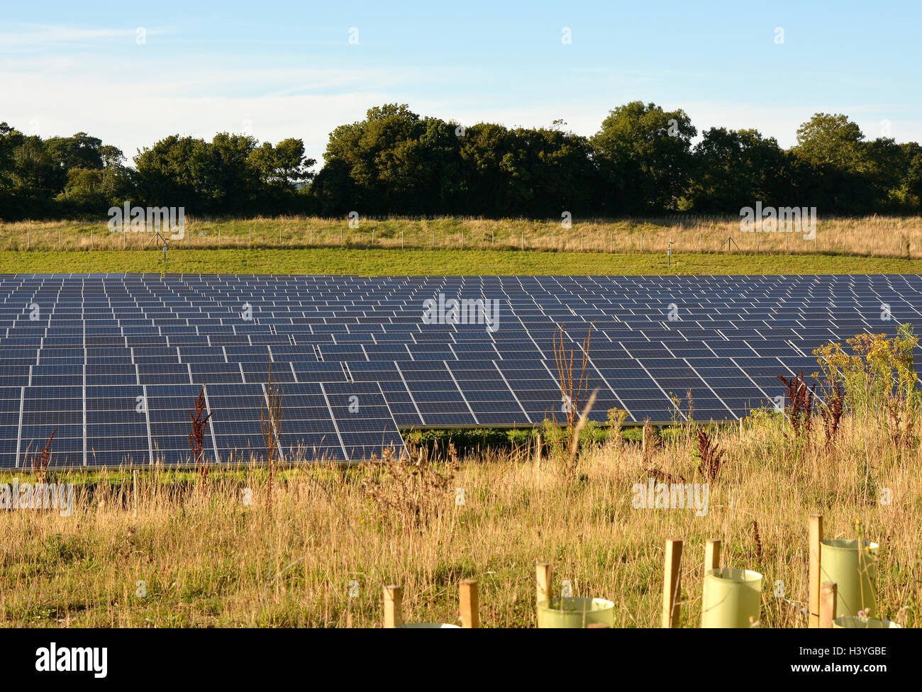 Bereich der Solarstrom-Platten in der Nähe von Chichester, West Sussex, England Stockfoto