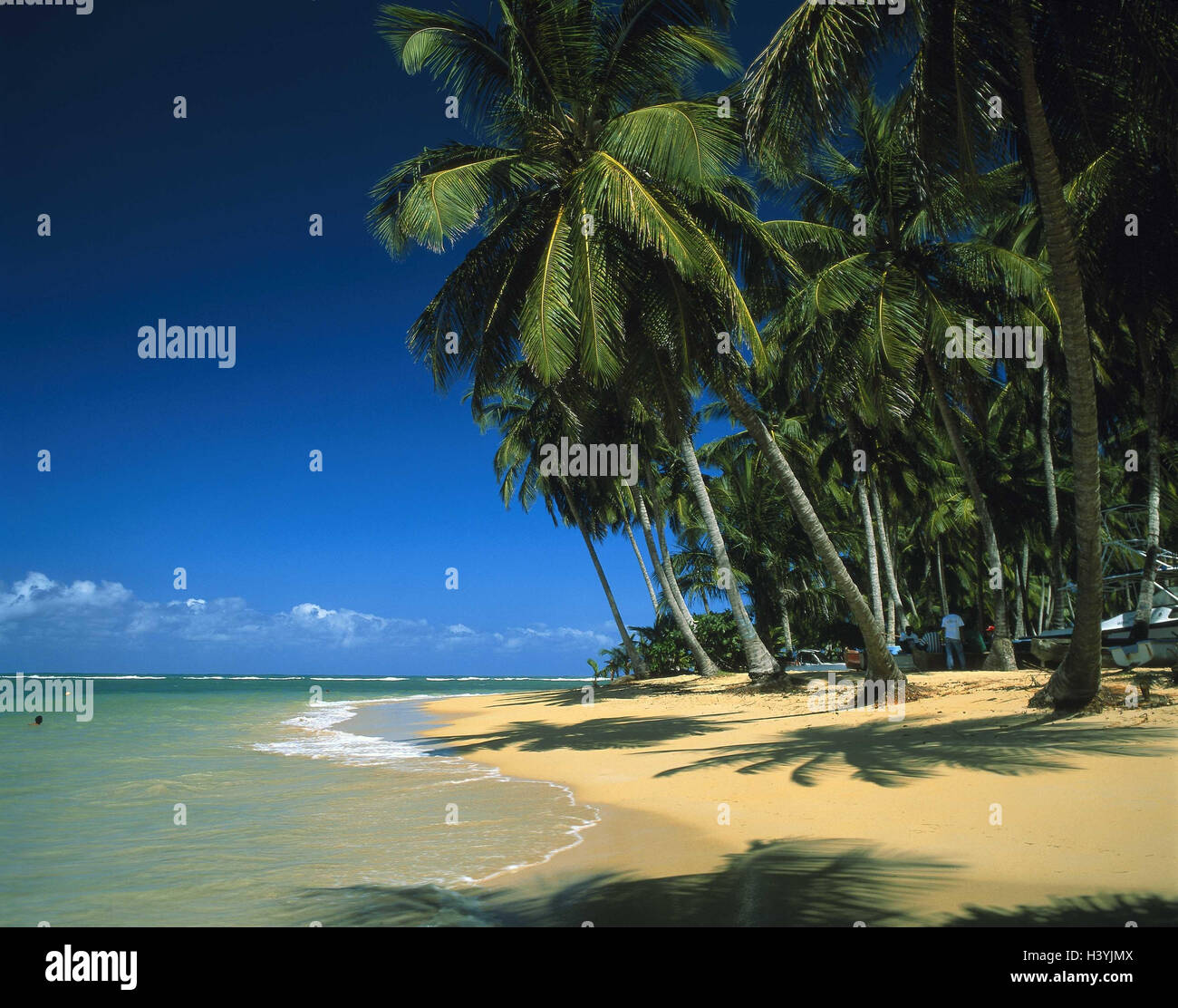 Palmen Prunk Und Perfektion Bh Palm Beach Ein Traumurlaub In Florida