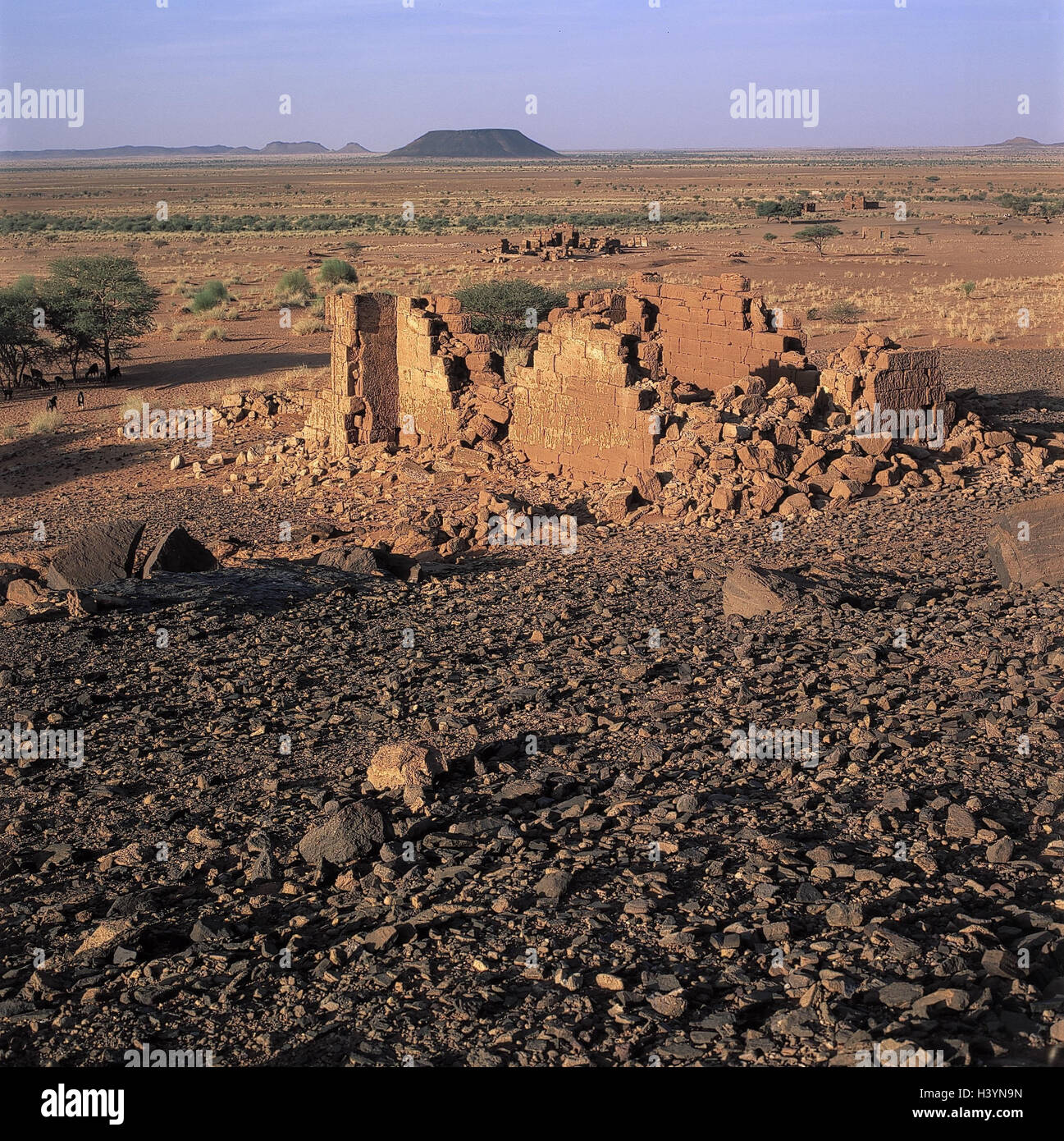 Sudan, Naqa, Apadamek, Tempelruinen, Afrika, Ausgrabung, Ausgrabungen, Ruinen, Überreste, Kultur, Ort von Interesse, Tempel, Gesamtansicht, wilde Landschaft, Trockenheit Stockfoto