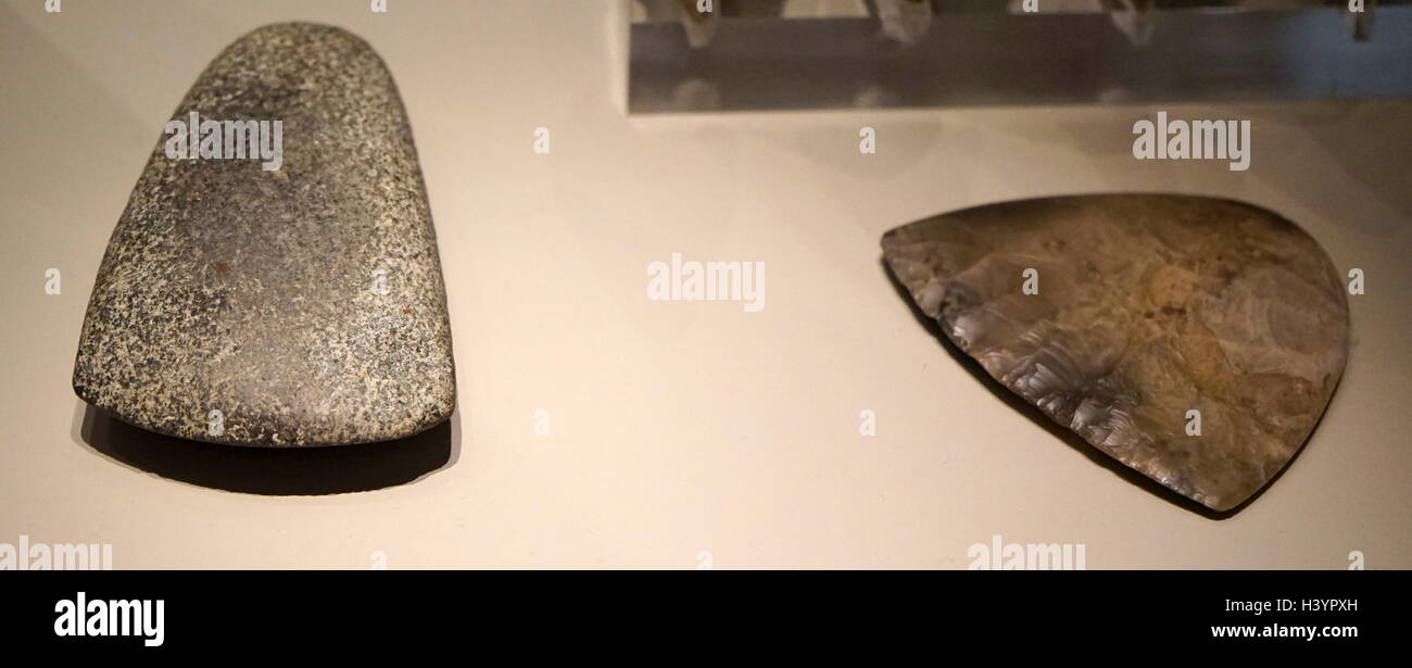 Späte neolithische Axt leitet 3000-2000 v. Chr., gefunden am großen Baddow, England; Stein und Feuerstein Stockfoto