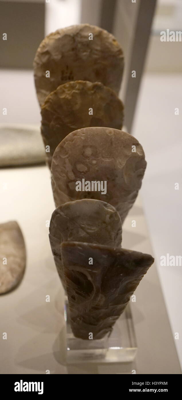 Späte neolithische Axt leitet 3000-2000 v. Chr., gefunden am großen Baddow, England; Feuerstein Stockfoto