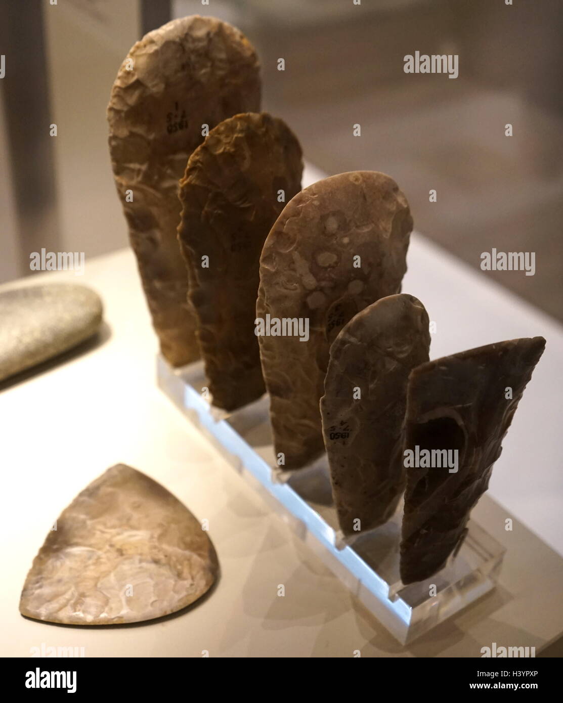 Späte neolithische Axt leitet 3000-2000 v. Chr., gefunden am großen Baddow, England; Feuerstein Stockfoto