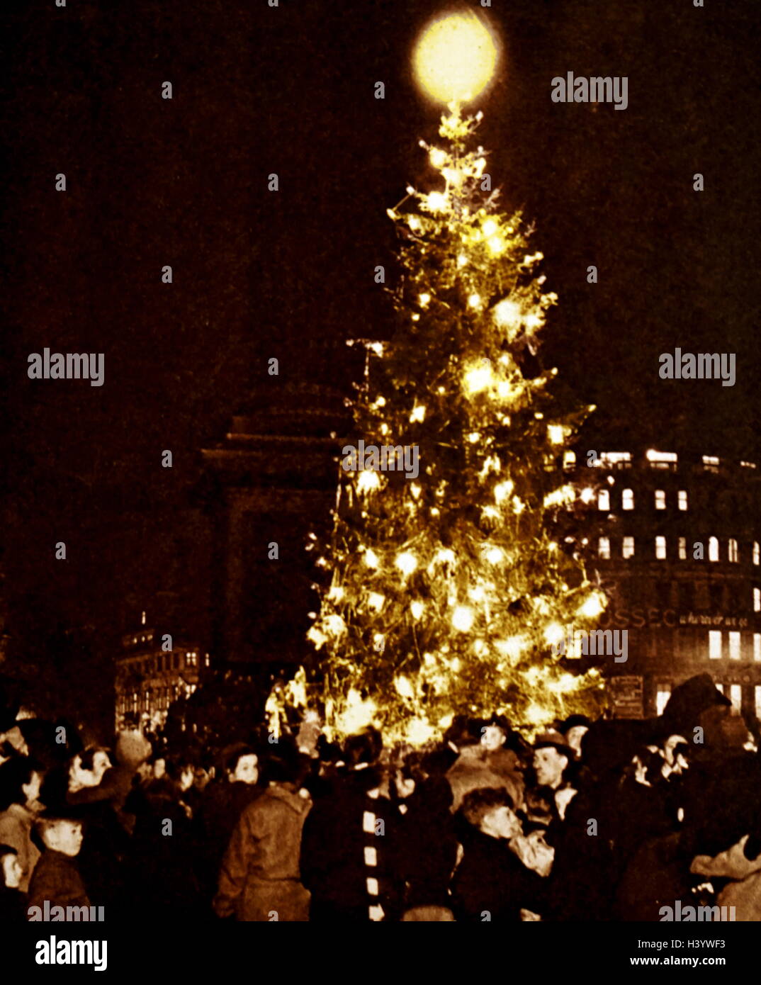 Foto von Oslos Geschenk nach England, einen großen Weihnachtsbaum auf dem Trafalgar Square. Vom 20. Jahrhundert Stockfoto