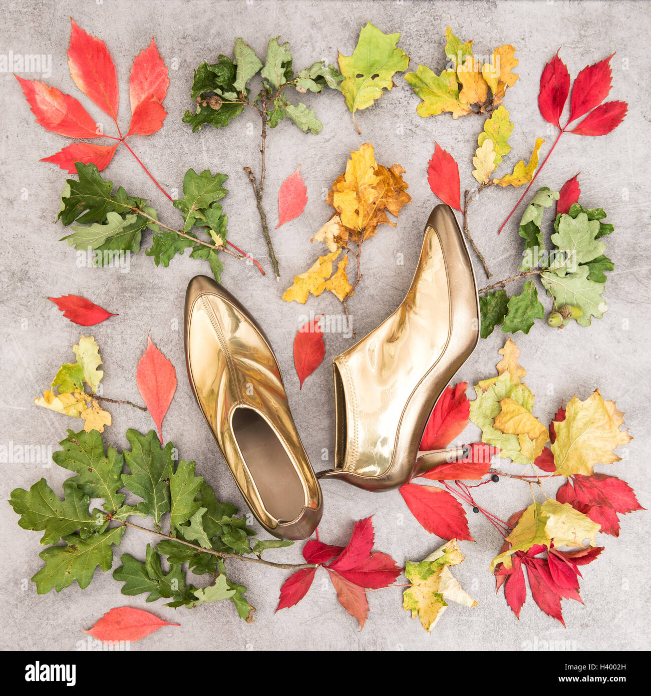 Mode flach zu legen. Herbstlaub und goldenen Schuhen. Hintergrund für feminine Website, Blogger, social-media Stockfoto