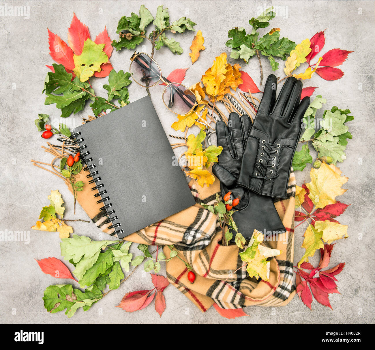 Herbstlaub und Mode-Accessoires. Flach zu legen. Hintergrund für feminine Website, Blogger, social-media Stockfoto