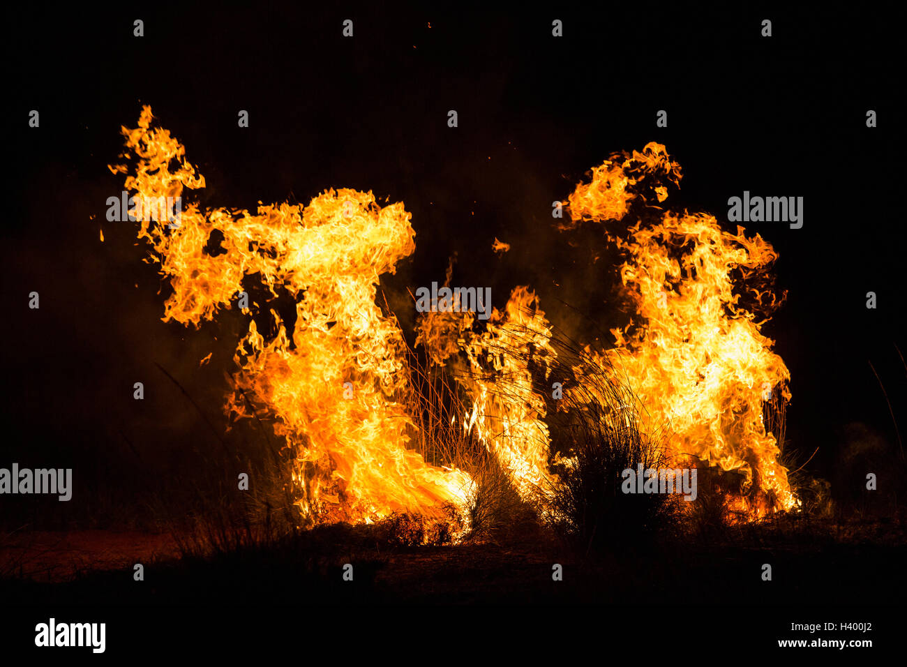 Feuer in der Nacht auf Wiese Stockfoto