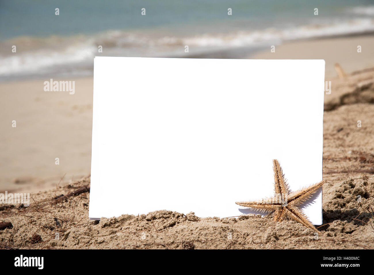Leeres Blatt Papier mit einen Seestern auf dem Sand mit Meer Hintergrund Stockfoto