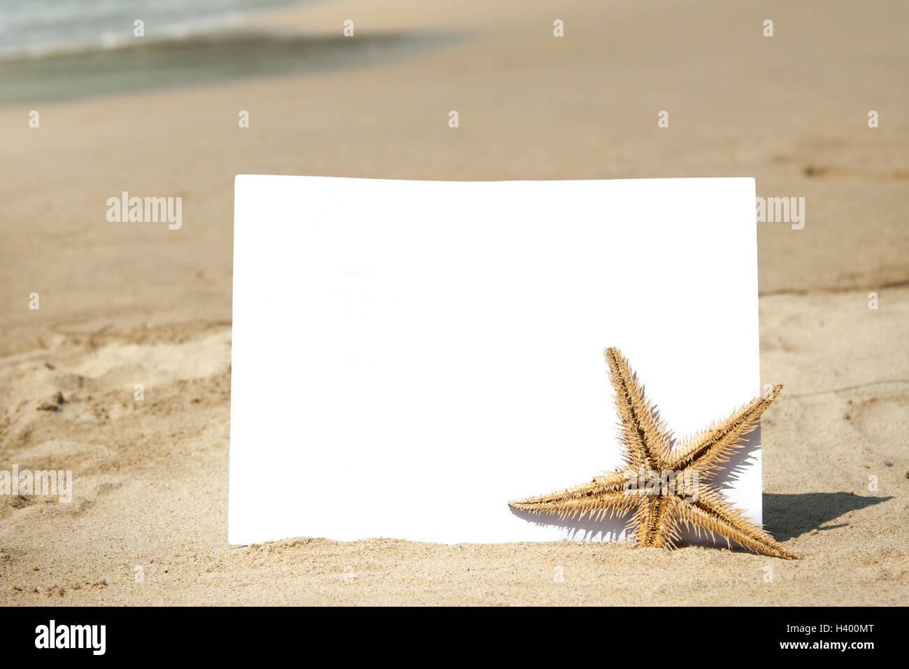 Leeres Blatt Papier und Seesterne auf dem Sand mit Strand Hintergrund Stockfoto