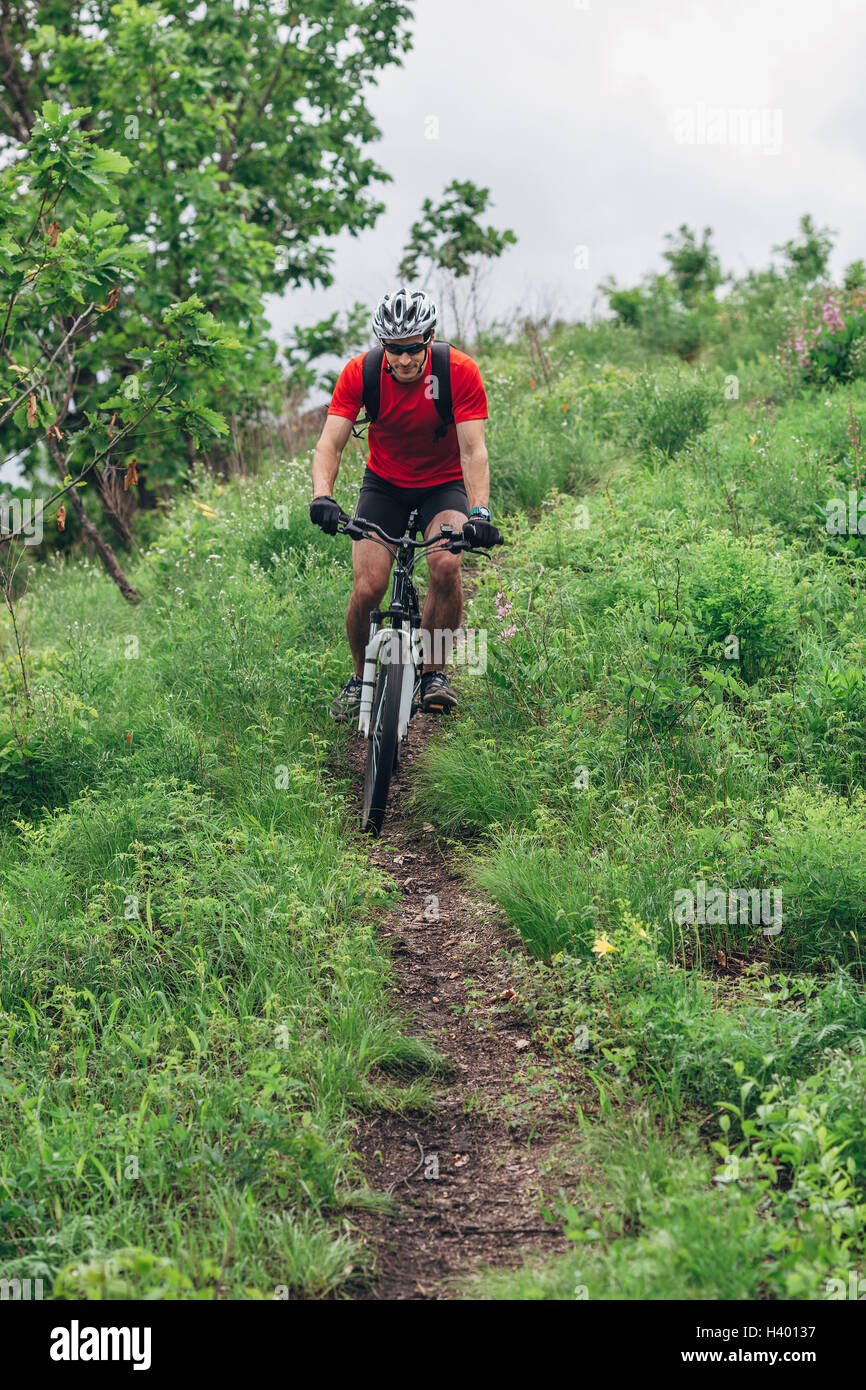 Mountainbiker fahren Weg inmitten von Rasen auf Hügel Stockfoto