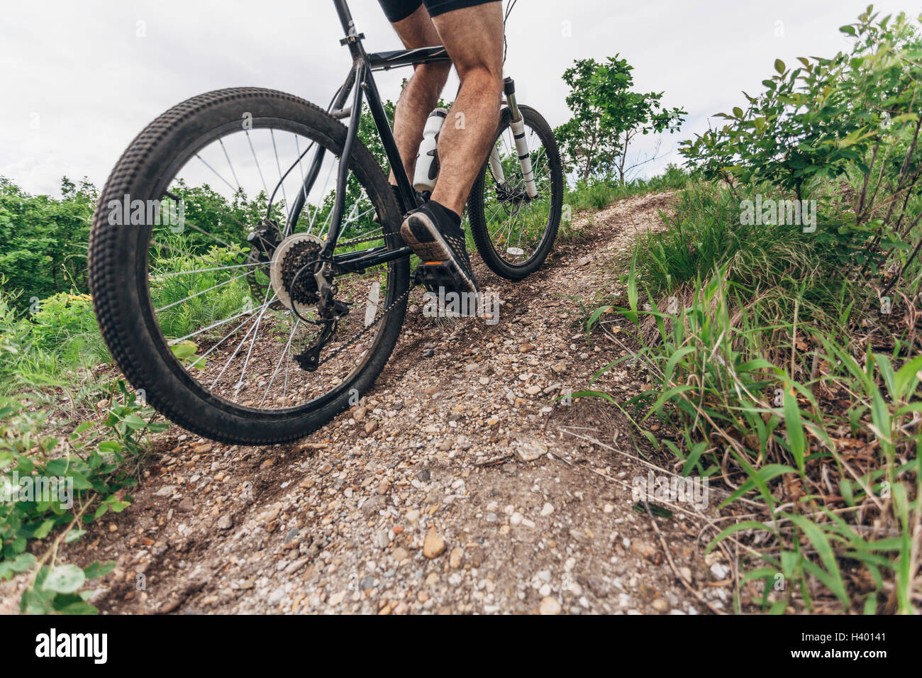 Geringer Teil der Mann reitet Mountainbike auf Feldweg Stockfoto