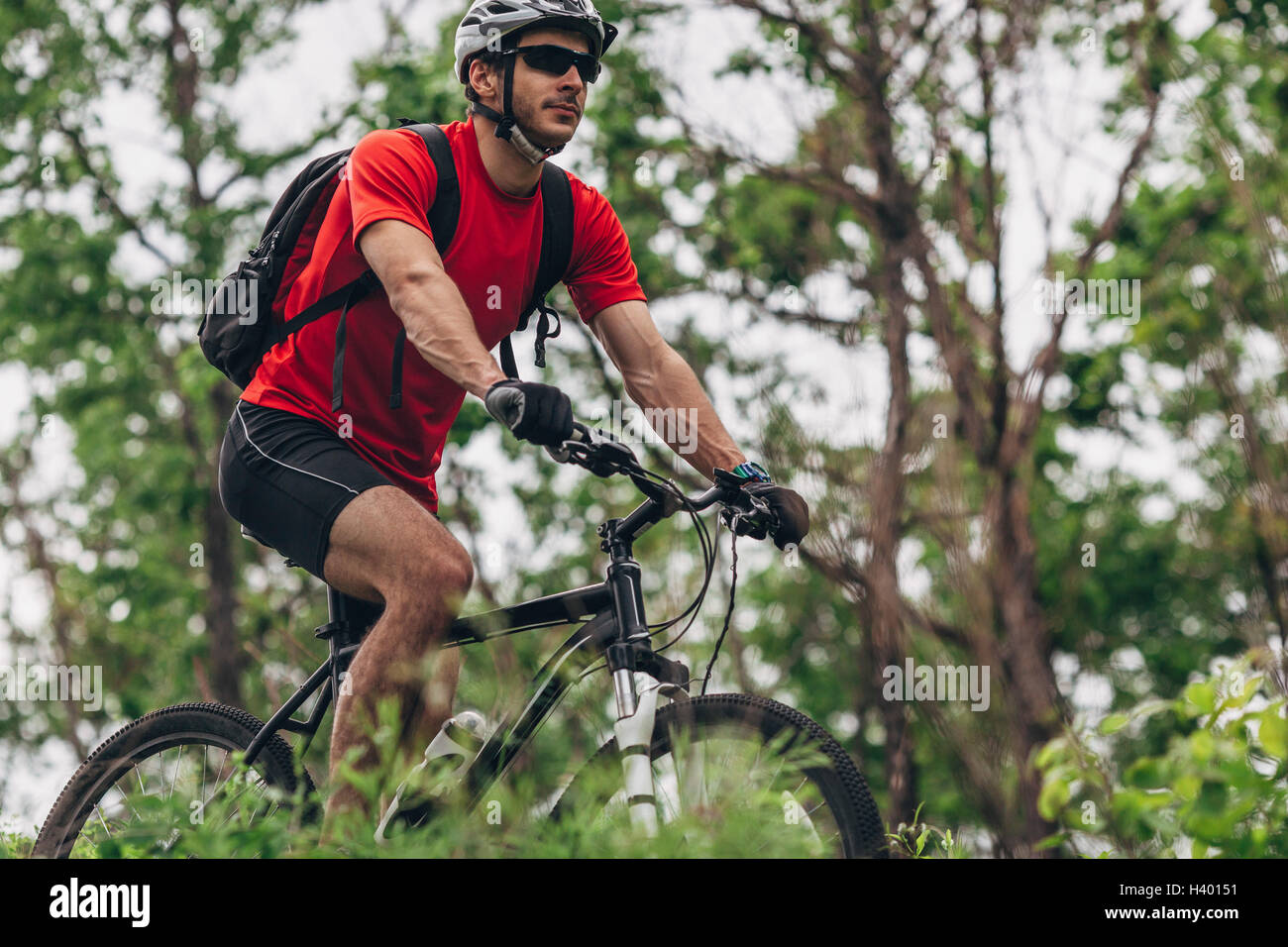 Zuversichtlich Mann Reiten Mountainbike im Wald Stockfoto