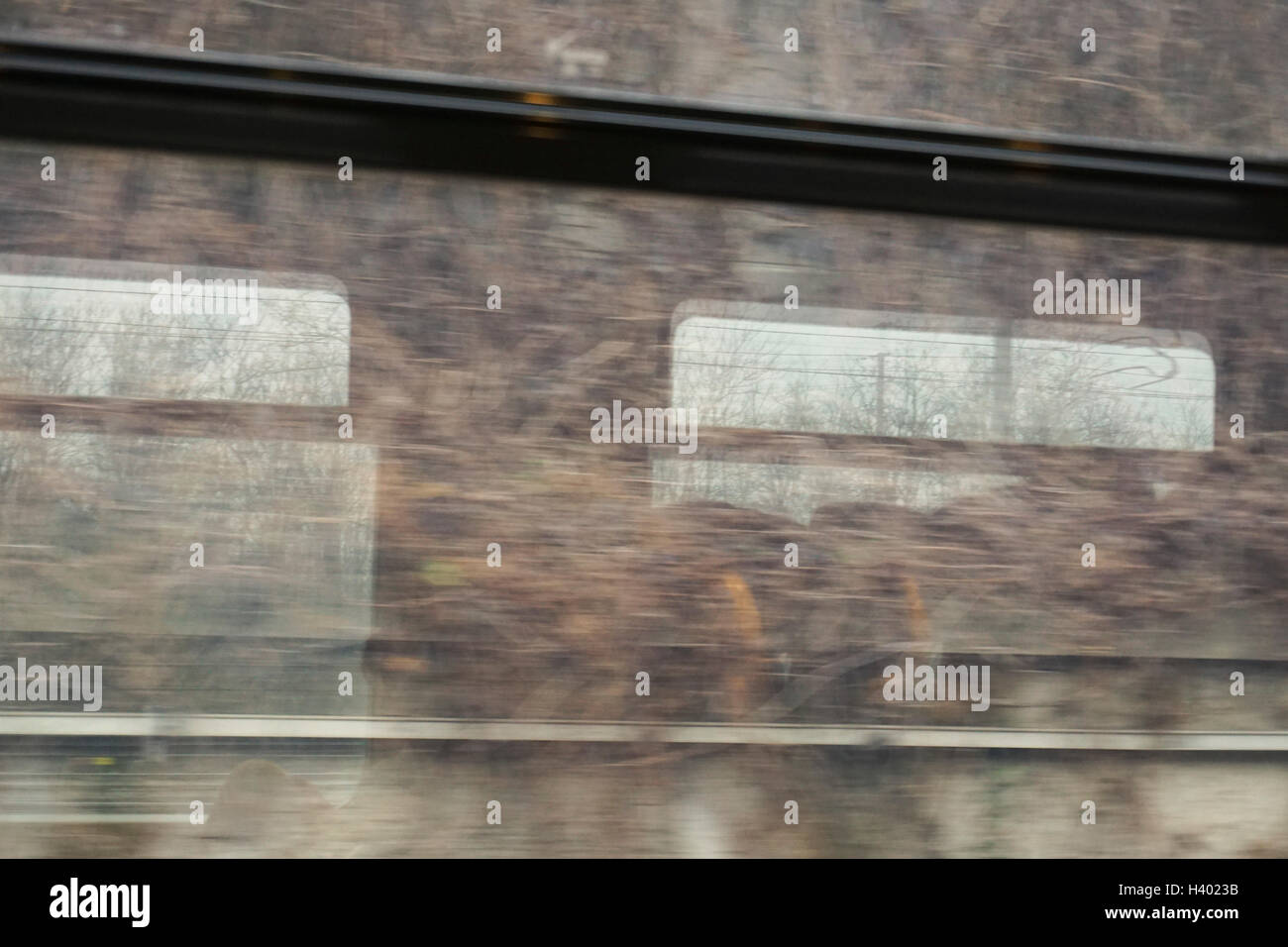 Full-Frame-Schuss von Bäumen reflektieren trainieren Fenster Stockfoto
