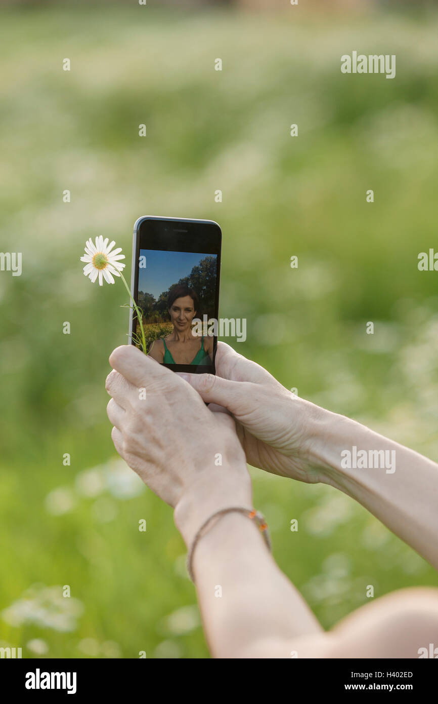 Bild von Händen mit Blume und smart Phone mit Reflexion ihrer selbst darauf zugeschnitten Stockfoto