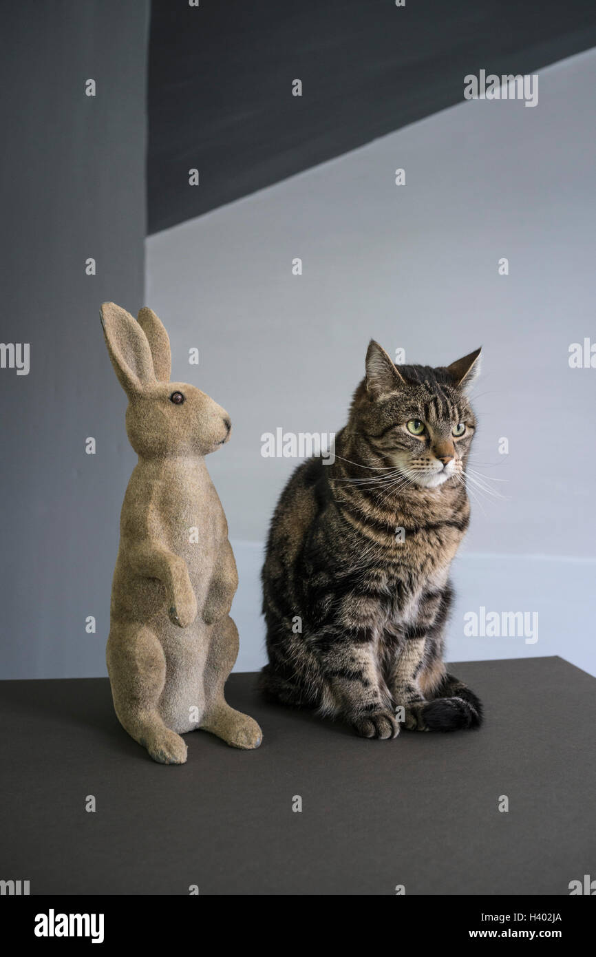 Tabby Katze sitzt von Kaninchen Figur am Boden gegen die Wand Stockfoto