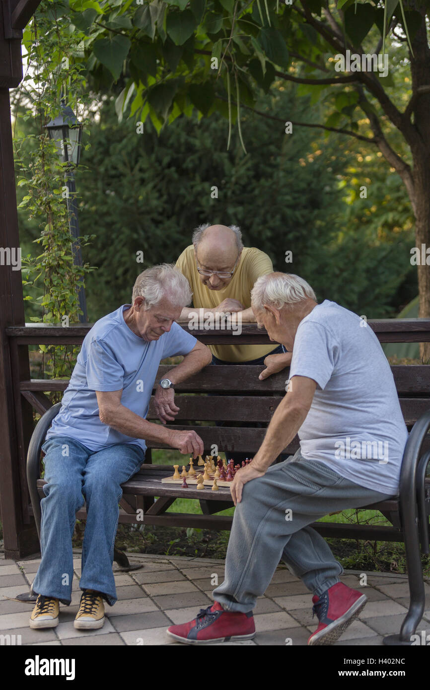 Senioren Freunde spielt Schach auf Parkbank gegen Bäume Stockfoto