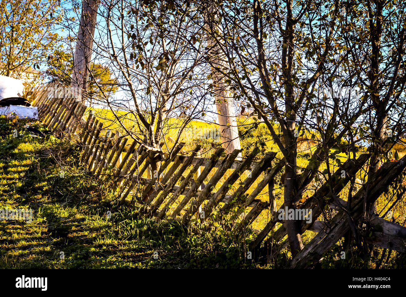 krummen Holzzaun im herbstlichen Sonnenlicht auf Wiese Stockfoto