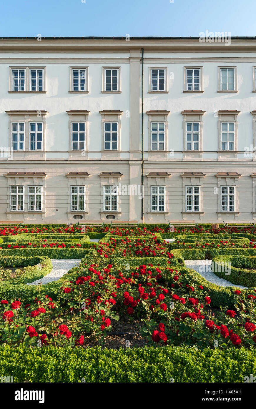 Rosengarten am barocken Schloss Mirabell in Salzburg, Österreich Stockfoto