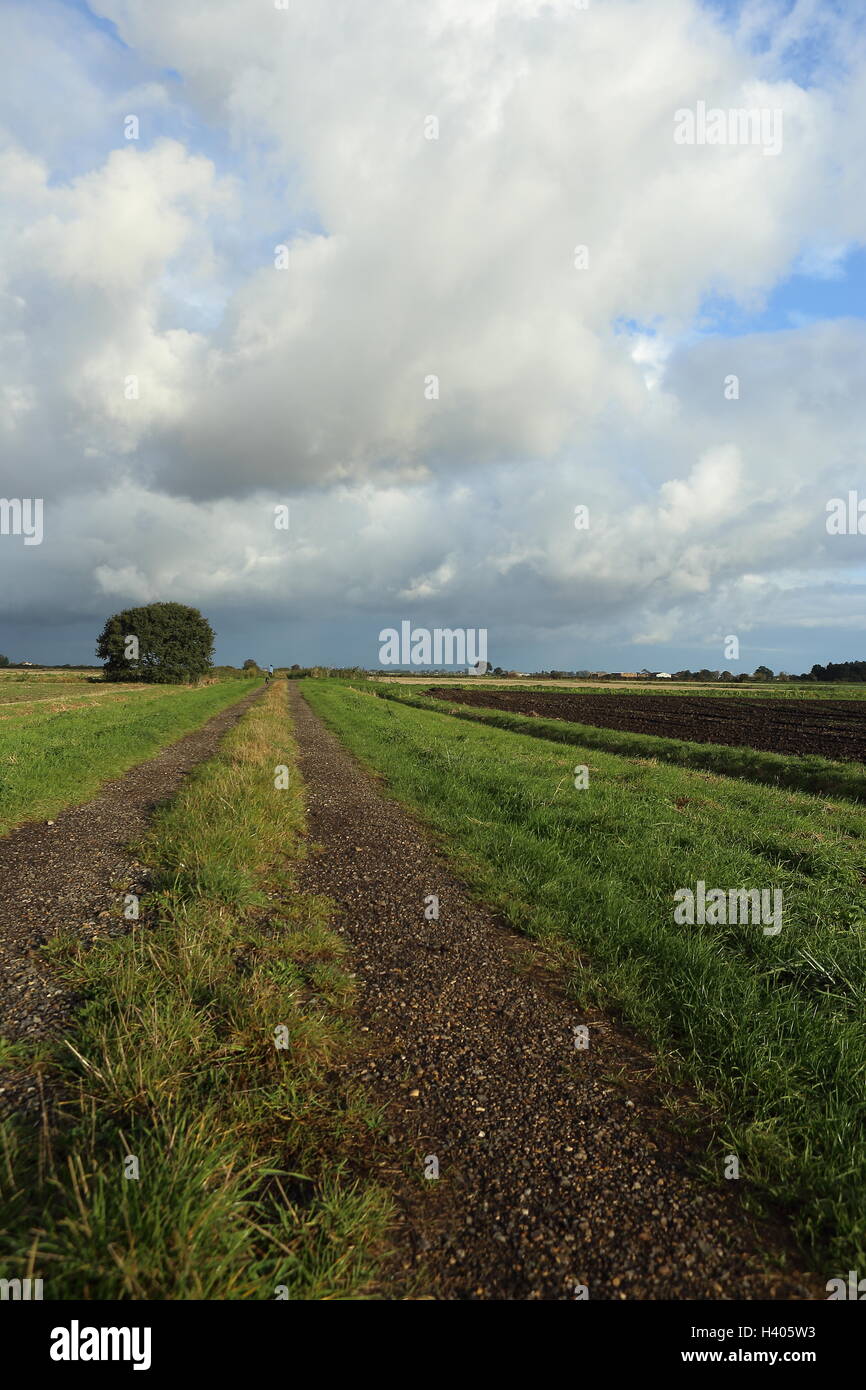 Green Lane in Lincolnshire Fenland Big Sky und dunkle Erde Landwirtschaft ländliche Stockfoto