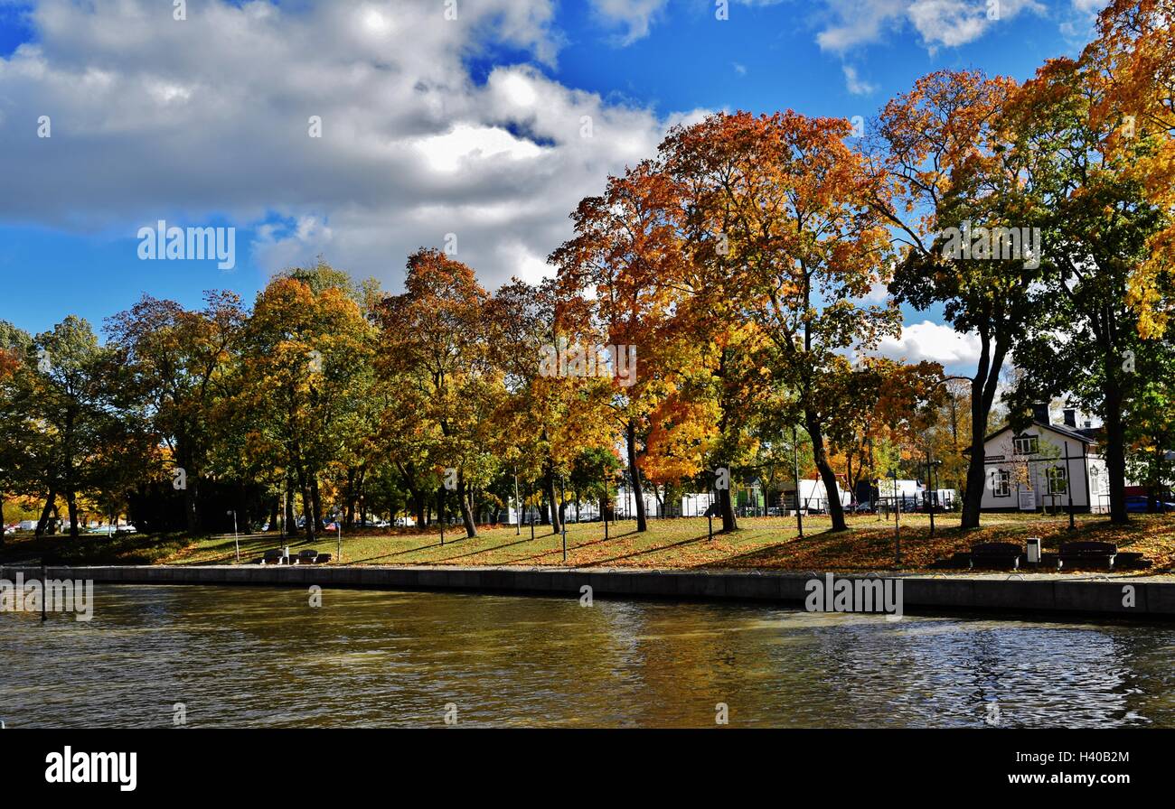 wunderbare Herbst Szene nahe dem Fluss Stockfoto