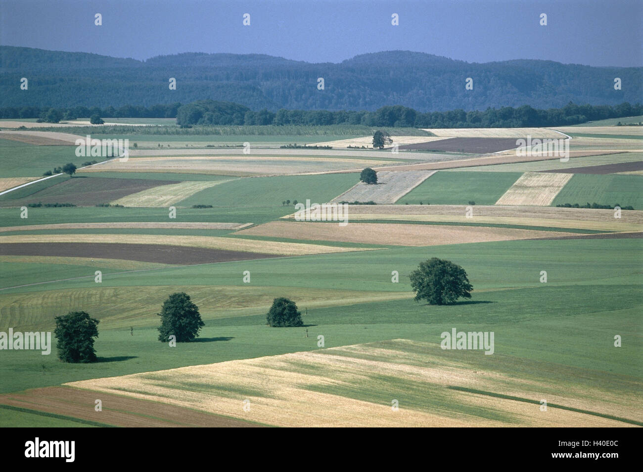 Deutschland, Baden-Wurttemberg, Lachs Dinge, Berg Kornbühl, anzeigen Bereich Landschaft, Europa, schwäbische Albtraum, Zollernalbkreis, Landwirtschaft, Naturschutzgebiet, Naturschutzgebiet, Berg Kegel 886 m, Ansicht, Landschaft, Feld-Halle, Array, Felder, Wiesen, Feld p Stockfoto