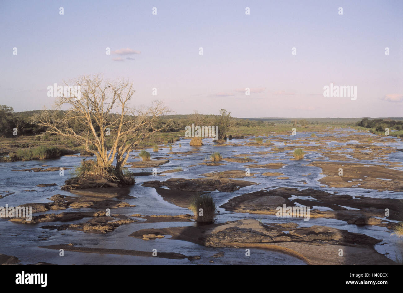 Süden, Afrika, der Gastwirt Nationalpark, Olifant River, Afrika, Gastwirt Nationalpark, bundesweit Park, wilden Naturschutzgebiet, Naturschutzgebiet, Wildnis, Elefanten Fluss, Savanne, Landschaft, Flussbett, Wasser, Wasser, niedrig, flach, Wasser Armut Stockfoto