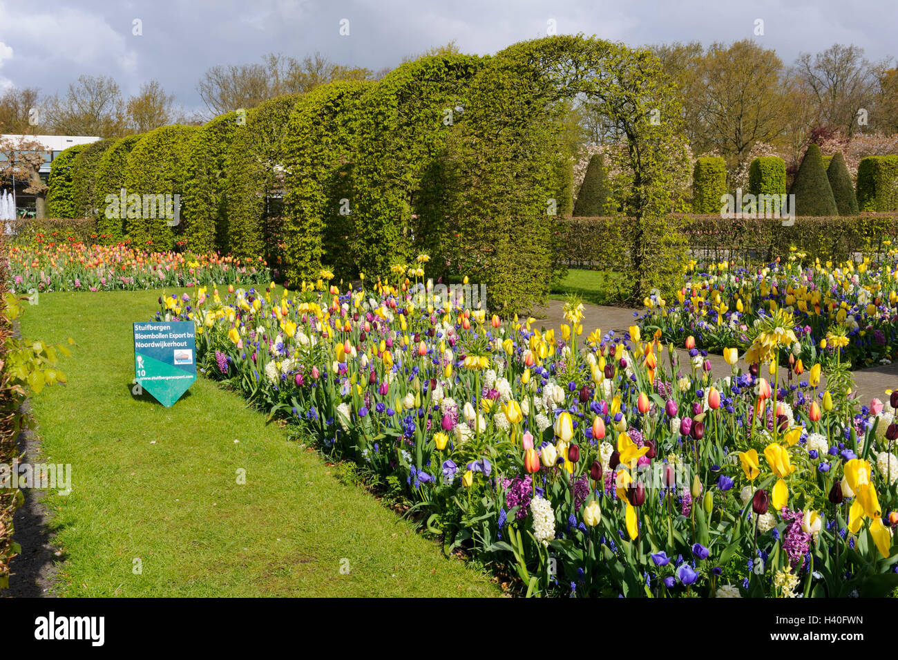 Blumen von holland Fotos und Bildmaterial in hoher Auflösung Alamy