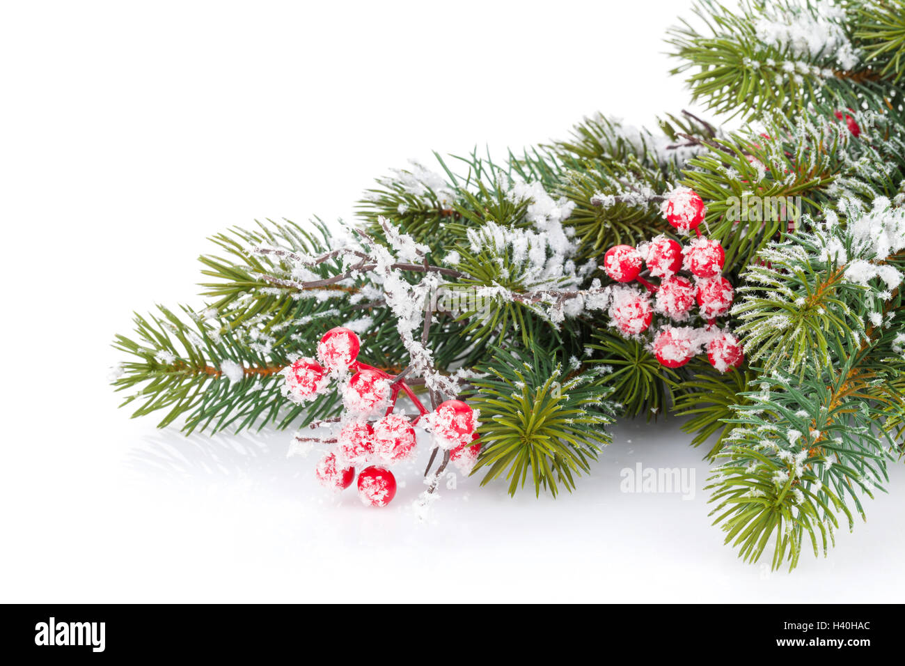 Weihnachten Tanne Zweig mit Holly Berry und Schnee Stockfotografie Alamy