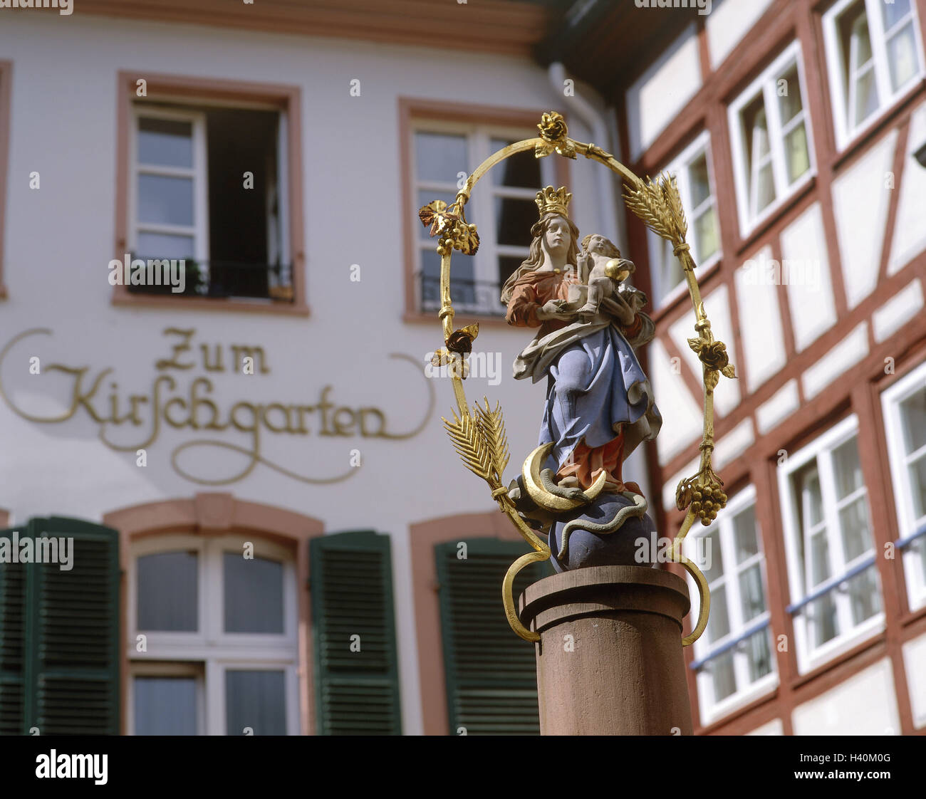 Deutschland, RheinlandPfalz, Mainz, Altstadt, Kirsche Garten gut