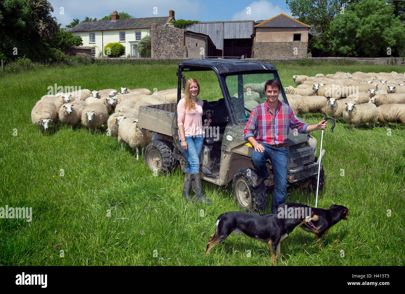 Neue junge Landwirte Rosanna & Ian horseley leben das gute Leben auf der Schäferei in Devon nach verlassen London. Eine im Vereinigten Königreich Stockfoto