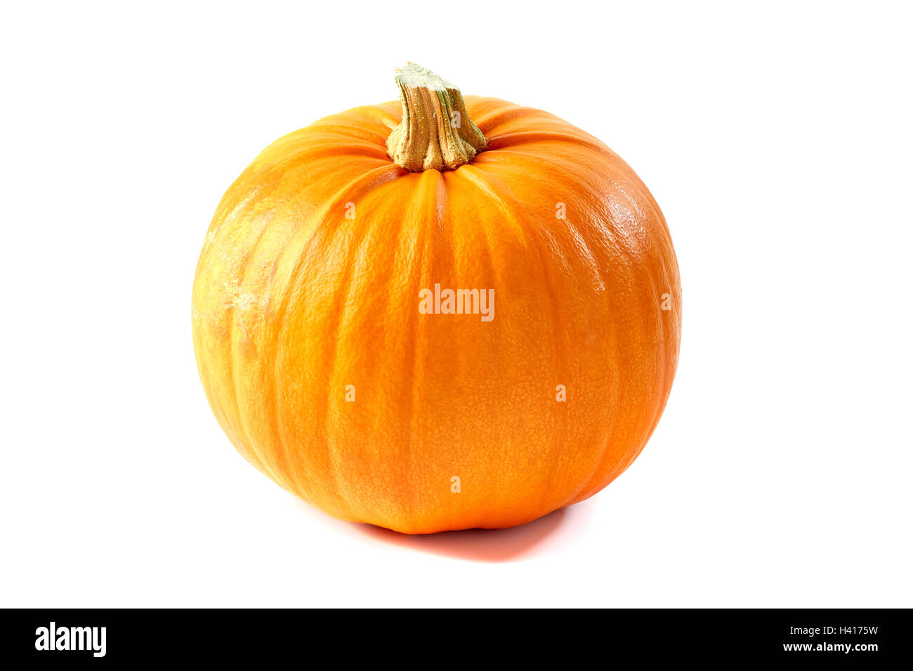 Reife ganze Kürbis auf weiß Stockfoto