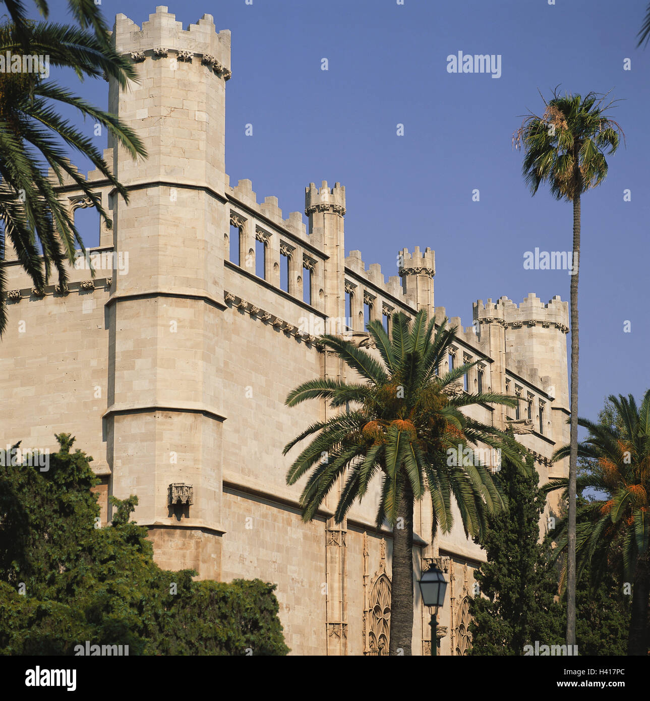 Spanien, Mallorca, Palma de Mallorca, La Llonja, Fassade, detail, den Balearen, Insel, Mittelmeer, Kapital, Lonja, Meer Handel Börse im Jahre 1426 - 1451, Struktur, Sehenswürdigkeit, Architektur, außen, Detail, Palmen Stockfoto