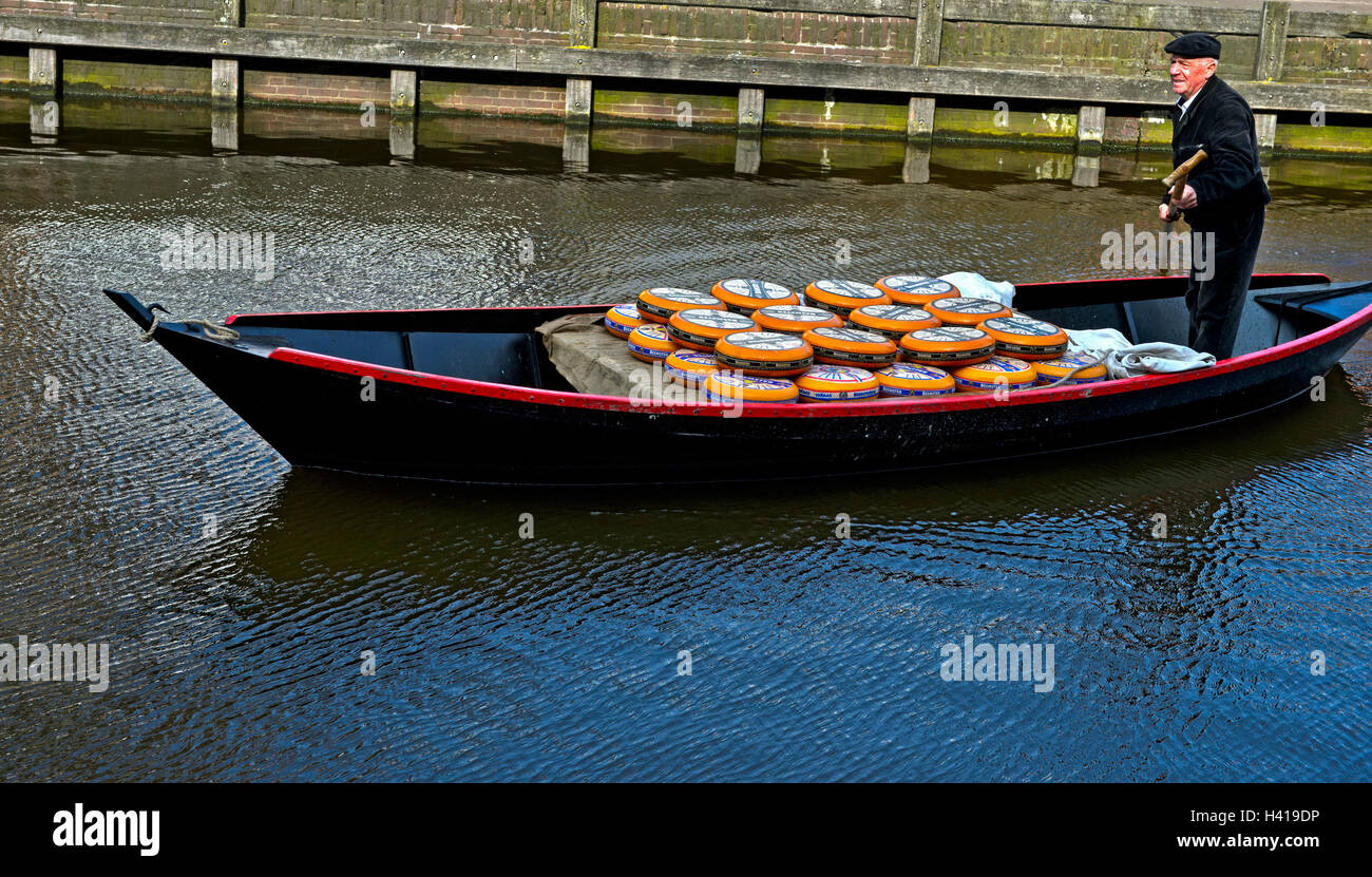 Transport von Beemster Käse in einem Boot mit Steuermann auf einem Kanal Käsemarkt Alkmaar, Niederlande Stockfoto