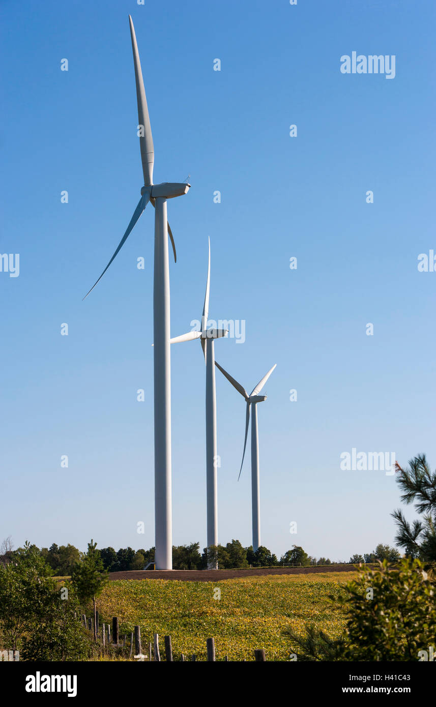 Windkraftanlagen in der Nähe von Singhampton, Ontario, Kanada Stockfoto