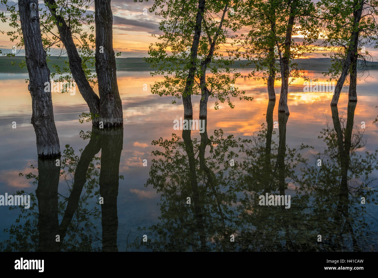 Belle Fourche National Wildlife Refuge in South Dakota: Abend Reflexionen in der Abenddämmerung, Rocky Point Recreation Area Stockfoto