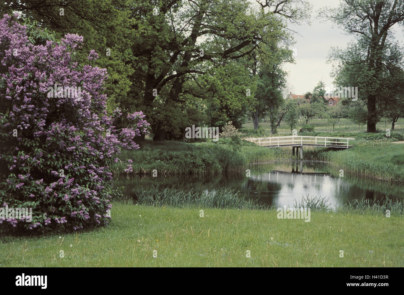 Deutschland, Mecklenburg-Vorpommern, Basedow, Schloss, Schlosspark, Sommer, Europa, Norddeutschland, Mecklenburgische Schweiz, Schloss Garten, park, Park, Peter Joseph Lenne, Gartenarchitektur, Wasser, Teich, Brücke, Ort von Interesse Stockfoto