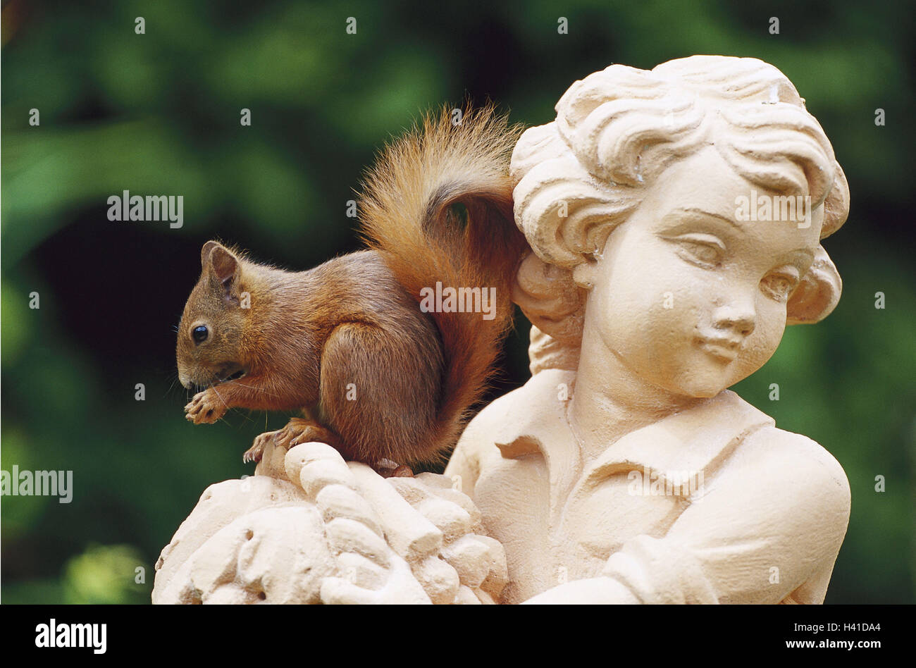Garten, Statue, europäischen Eichhörnchen, Sciurus Vulgaris, Natur, Zoologie, Tierwelt, Tier, Tiere, Säugetier, Säugetiere, Nagetier, Nagetiere, Croissants, europäischen Eichhörnchen, Eichhörnchen, Essen, Essen, Einnahme Stockfoto