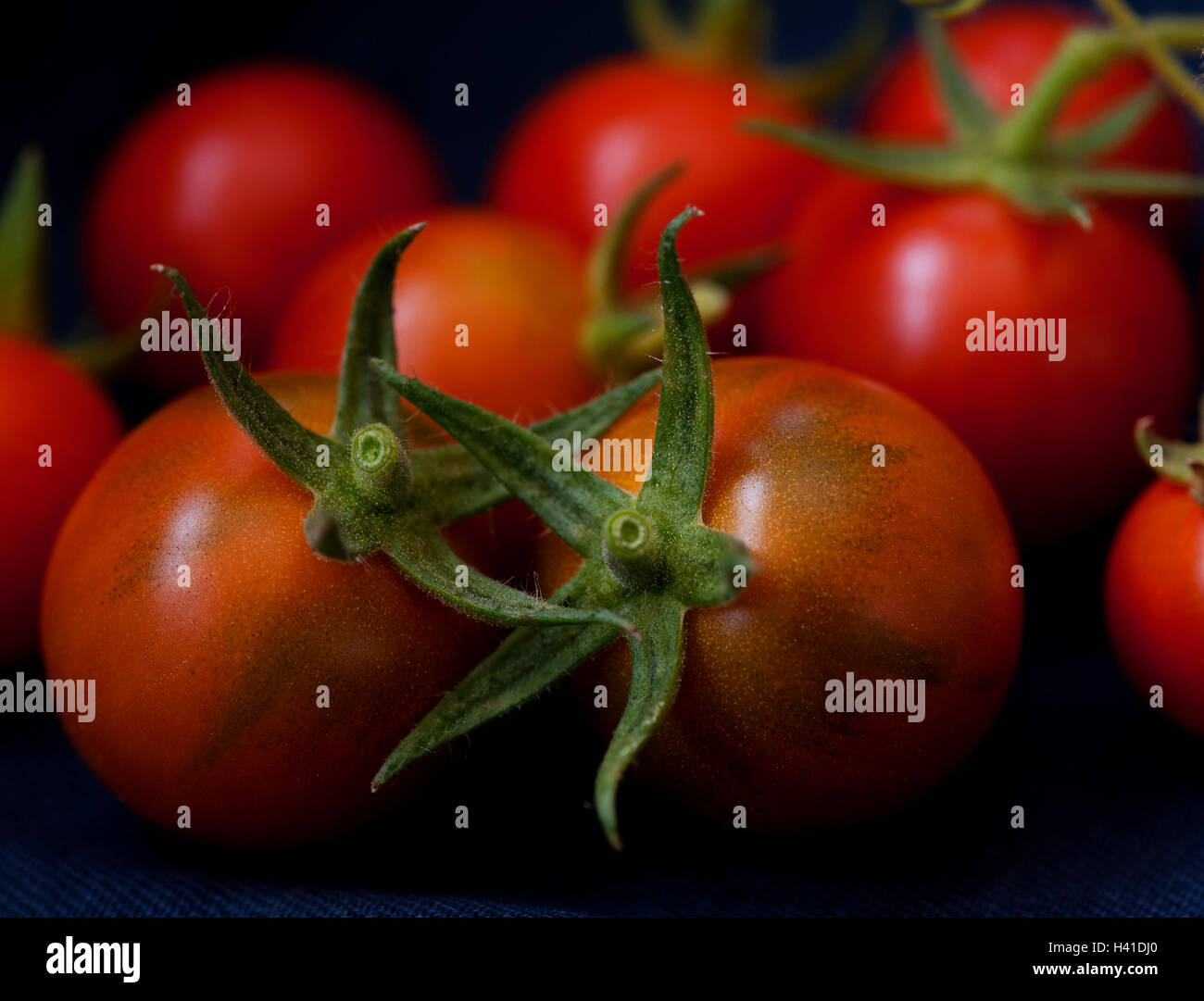 Nach Hause Cherry Tomaten. Stockfoto