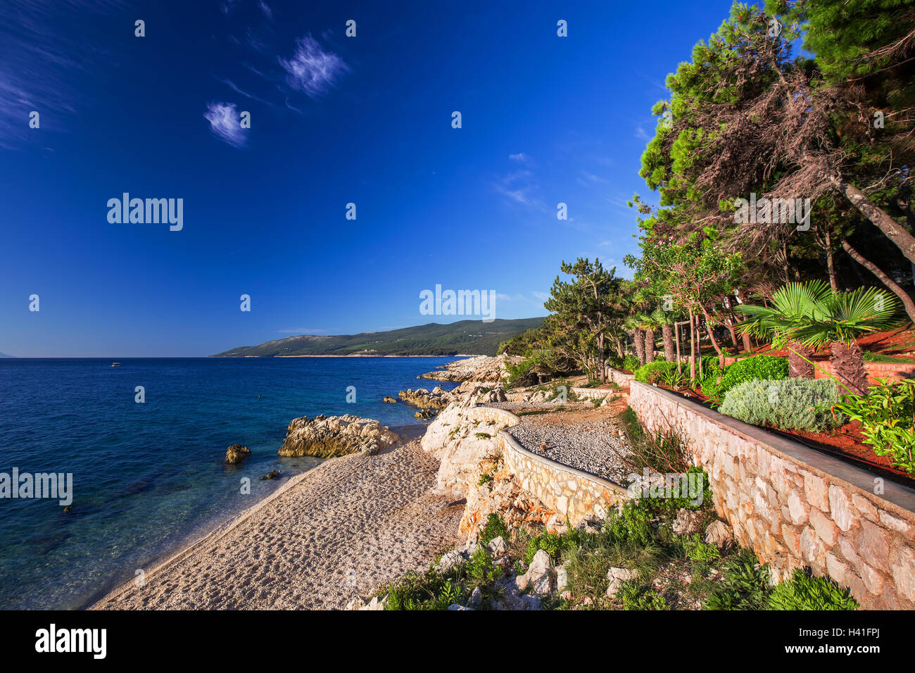 Erstaunlich, Felsiger Strand mit christall sauberes Meerwasser mit Pinien Bäumen n der Küste des Adriatischen Meeres, Istrien, Kroatien Stockfoto