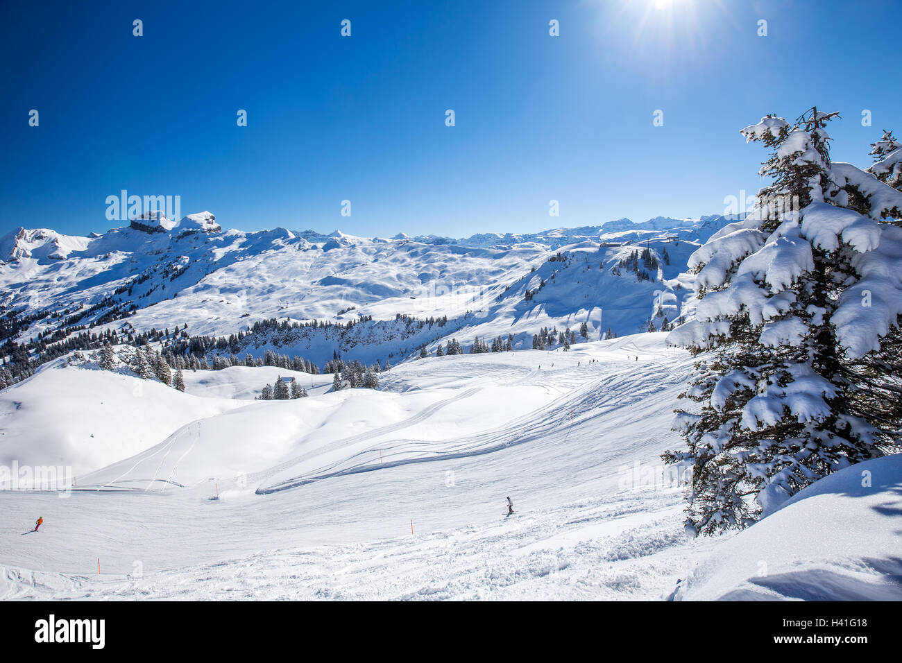 Schweizer Alpen fallenden frischen Neuschnee, gesehen vom Skigebiet Hoch-Ybrig, Zentralschweiz Stockfoto