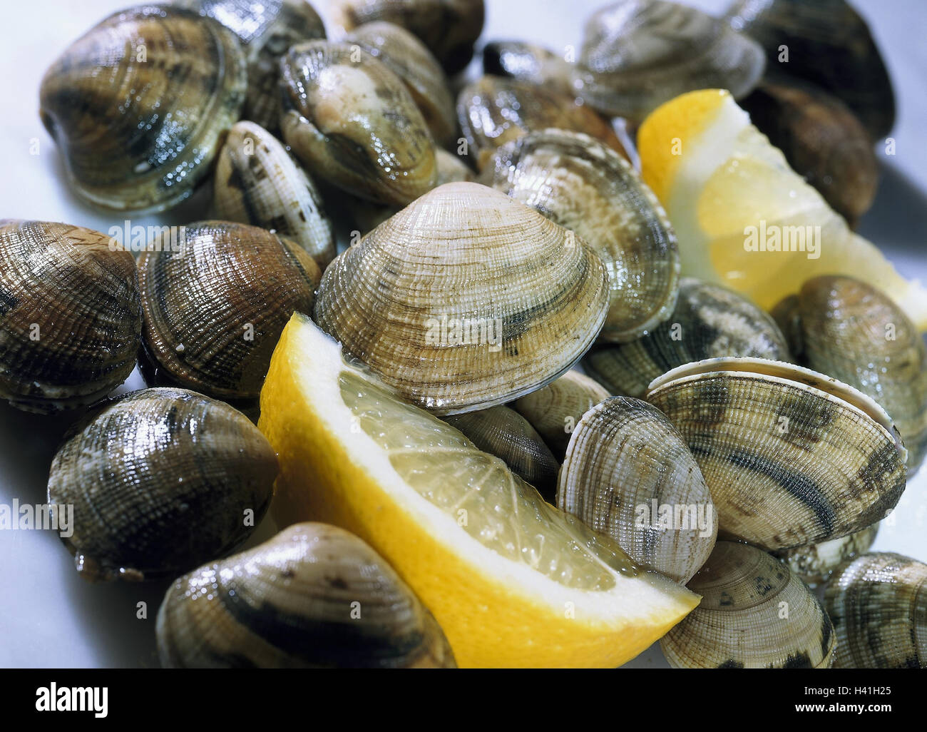 Venuss-Muscheln, Zitrone Risse, wenig Brei, Muschel Gericht, Meeresfrüchte, Fisch, Stillleben, Essen, Essen, Meerestiere, Delikatesse, Spezialitäten, Delikatessen, Zitrone, aufgeschnitten Stockfoto