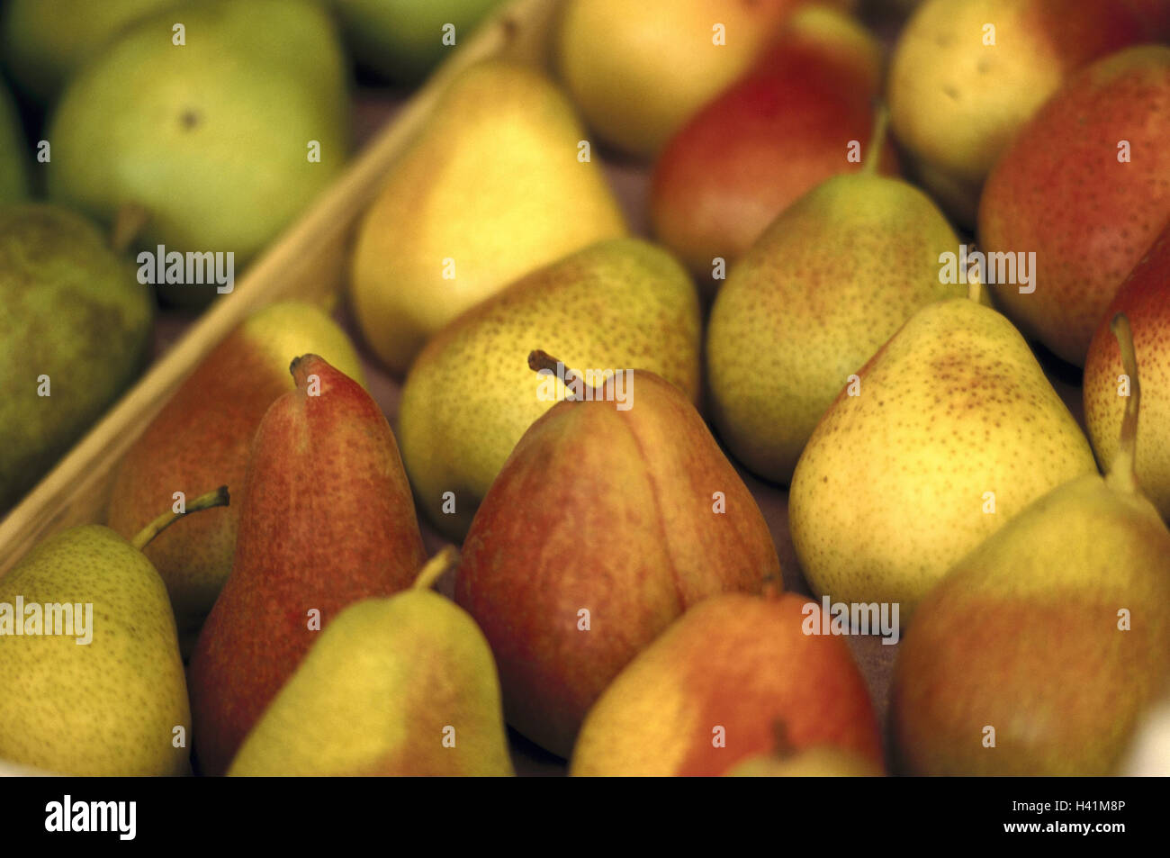 Obst-Kiste, Detail, Birnen, Stillleben, Produktfotografie, Früchte, Obst, Pflanzen, Pyrus, kollektive Früchte stieg Stockfoto