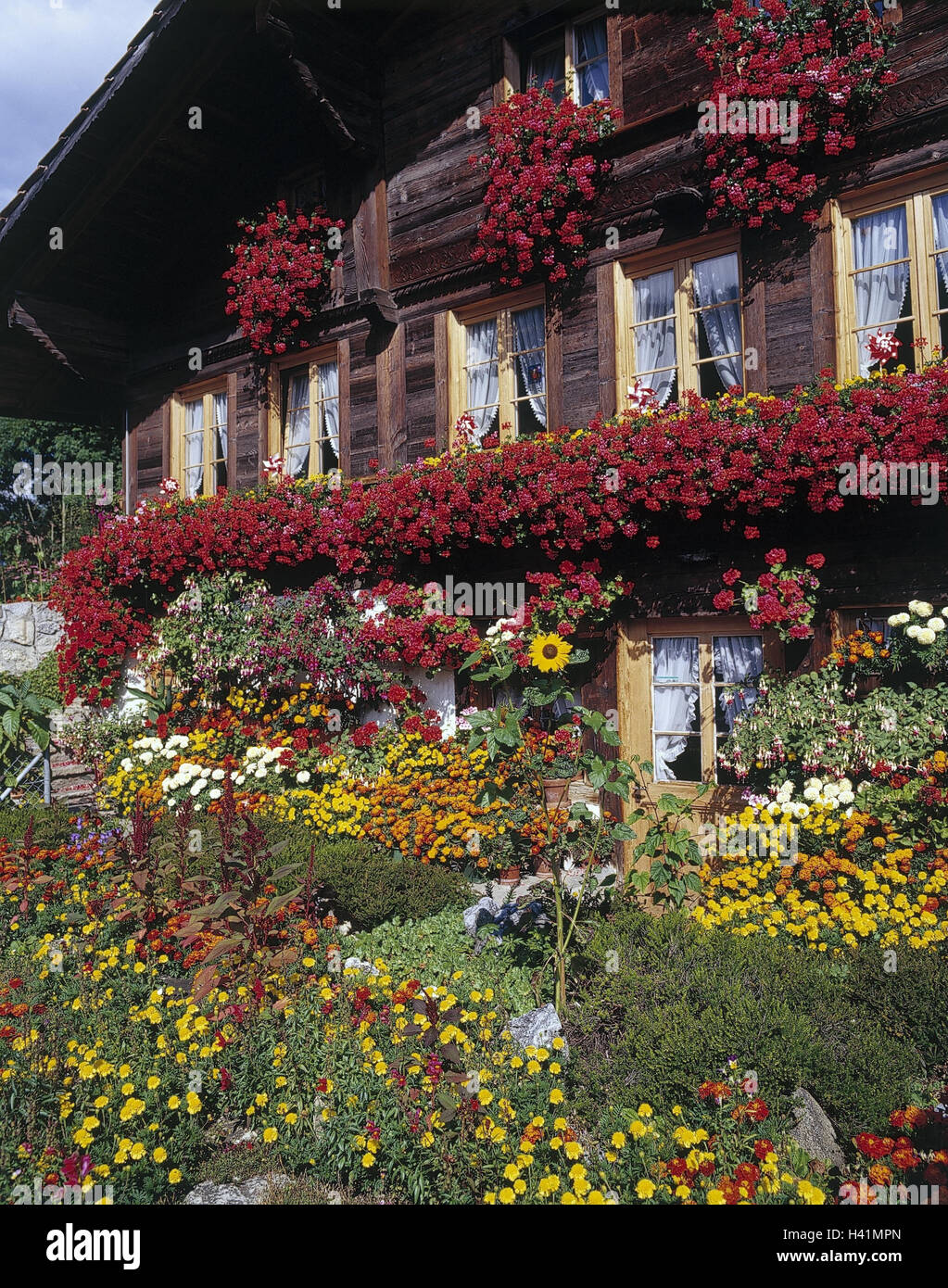 Schweiz, Kanton Bern, Saantal, Bauernhaus, Detail, Blumenschmuck, Sommer,  Schweizer Käse Land, Bauernhof, Garten, Blumen, Blumen Stockfotografie -  Alamy