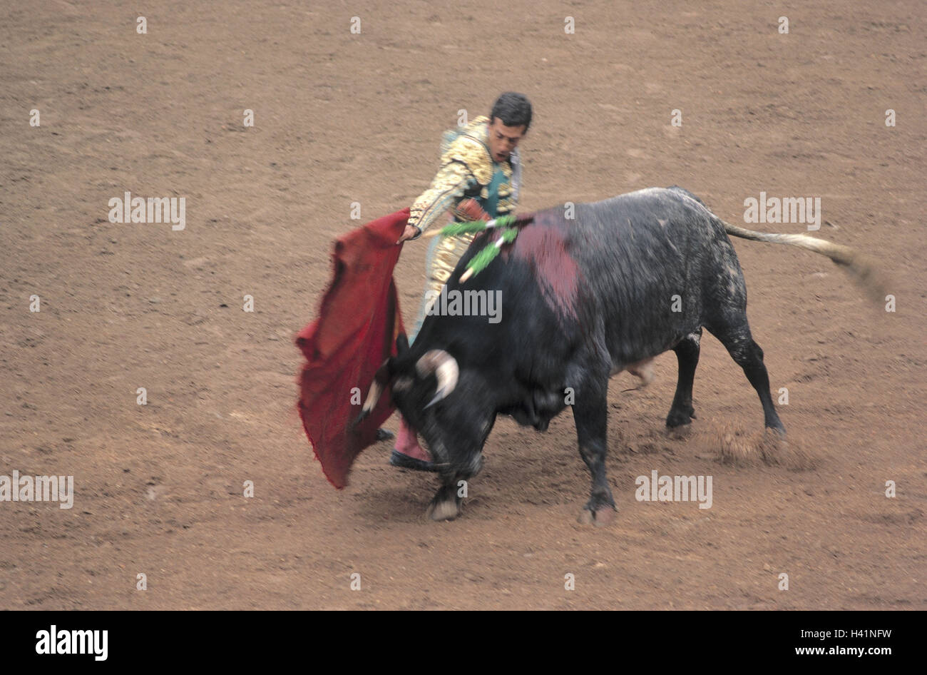 Mexiko, Mexiko-Stadt, Stierkampf, Mittelamerika, Arena, Stierkampfarena, Stierkämpfer, Torero, Matador, Tuch, Muleta, Speere, Bull, bluten, Blut, Verletzungen, Tradition, Breitensport, Event, Attraktion, Tradition, Traditionen Stockfoto