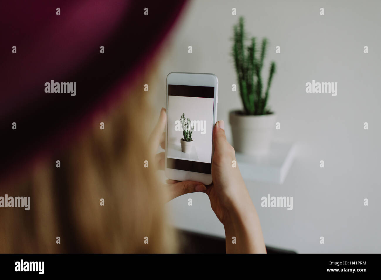 Frau, die ein Foto der Pflanze im Blumentopf Stockfoto